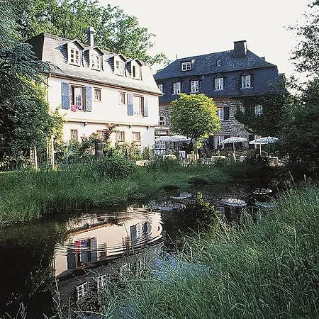 Historische Schlossmuhle * 乎尔博赫
